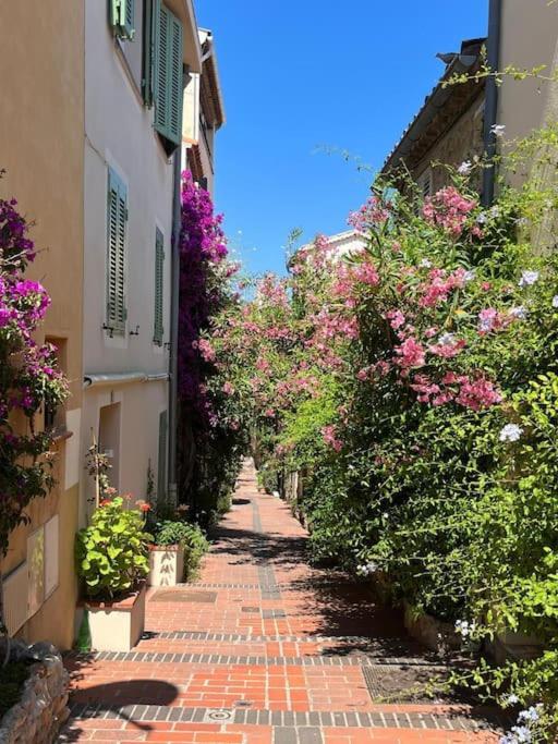 Strelizia - New Central Old Antibes For 4 Ac Ngoại thất bức ảnh